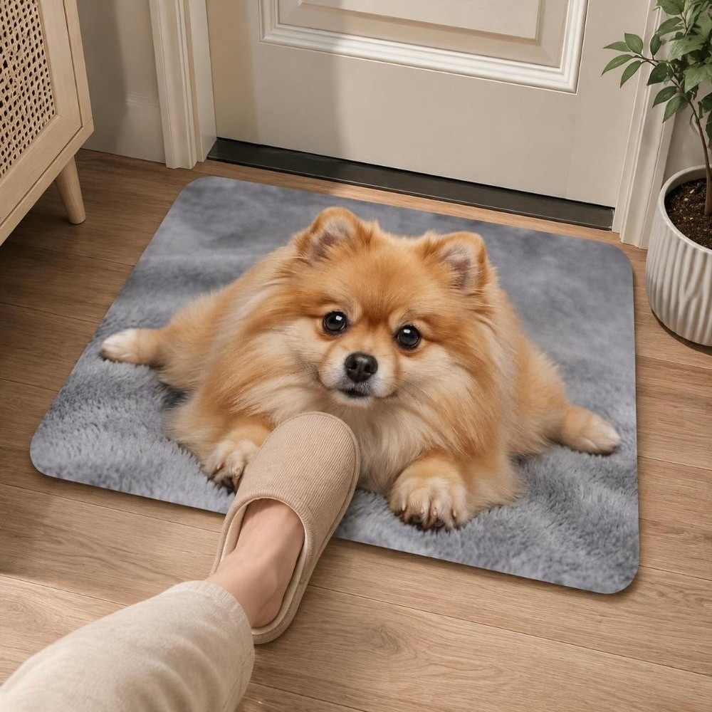Прочный коврик для пола с рису – обзор и цена Quick Dry Diatomite Bath Mat